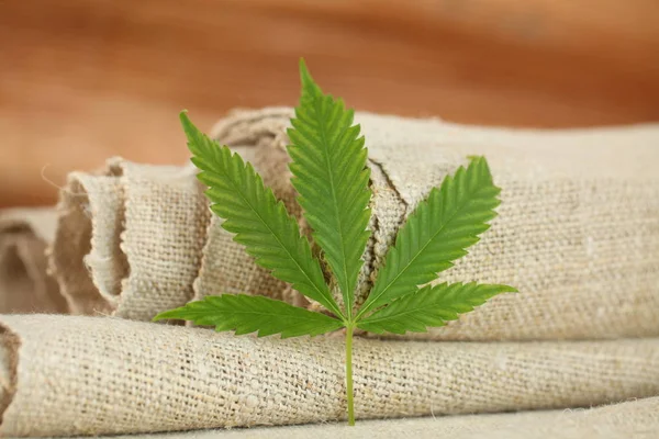 Cannabis Leaf Hemp Fabric Texture — Stock Photo, Image