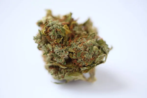 Dry Cannabis Medical Marijuana — Stock Photo, Image