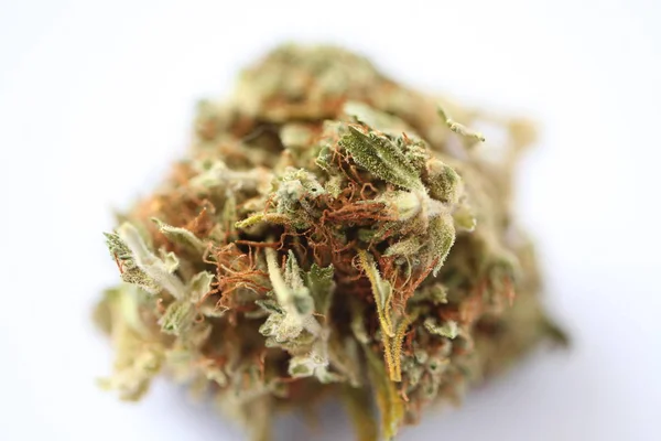 Torr Cannabis Medicinsk Marijuana — Stockfoto