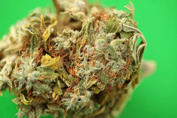 Dry Cannabis Medical Marijuana — Stock Photo, Image