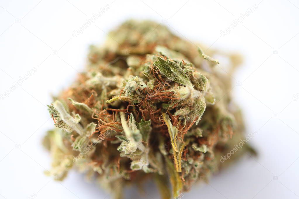Dry cannabis medical marijuana