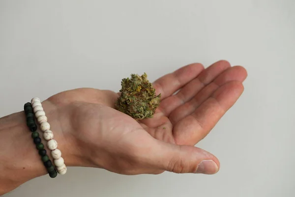 Marihuana Suche Marihuany Ręku — Zdjęcie stockowe