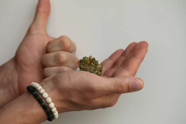 Cannabis Medizinisches Marihuana Der Hand — Stockfoto