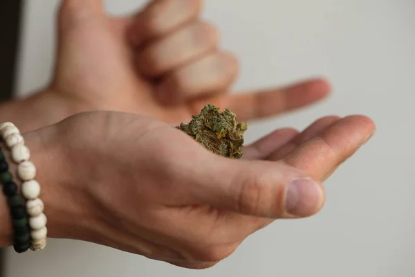 Cannabis Secca Marijuana Medica Mano — Foto Stock