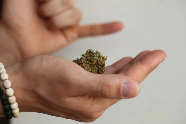 Dry Cannabis Medical Marijuana Hand — Stock Photo, Image