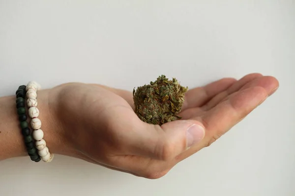 Marihuana Suche Marihuany Ręku — Zdjęcie stockowe