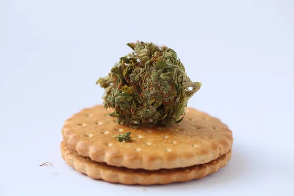 Száraz Kannabisz Orvosi Marihuána Cookie Kat — Stock Fotó
