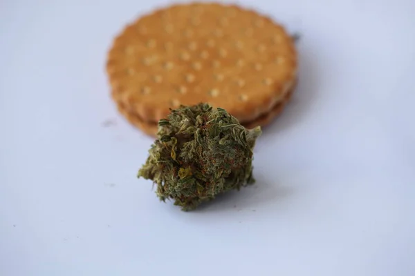 Dry Cannabis Medical Marijuana Cookies — Stock Photo, Image