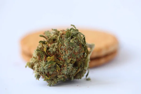 Dry Cannabis Medical Marijuana Cookies — Stock Photo, Image