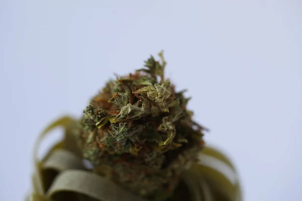 Dry Cannabis Medical Marijuana Pasta — Stock Photo, Image