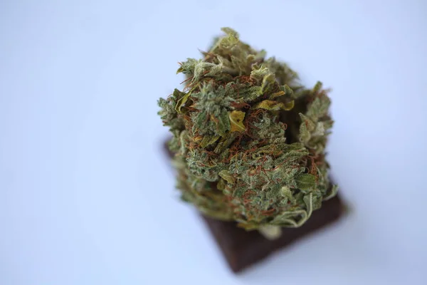 Torr Cannabis Medicinsk Marijuana Och Bit Choklad — Stockfoto