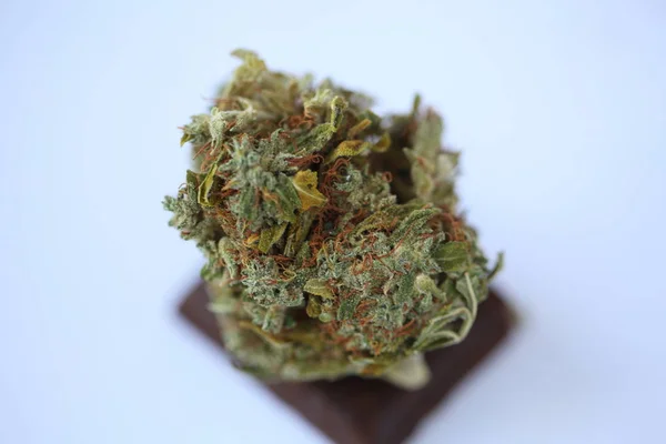 Suchá Marihuana Kousek Čokolády — Stock fotografie