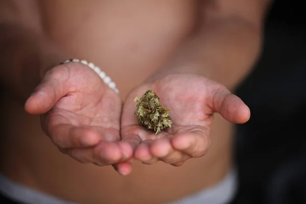 Ganja Medis Ganja Kering Tangan — Stok Foto