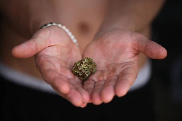 Cannabis Secca Marijuana Medica Mano — Foto Stock