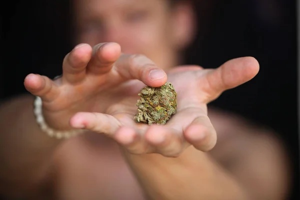Droge Cannabis Medische Marihuana Handen — Stockfoto