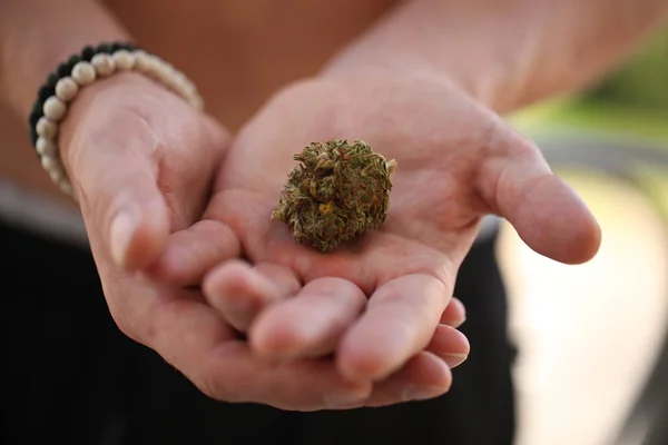 Marihuana Medicinal Seca Las Manos — Foto de Stock