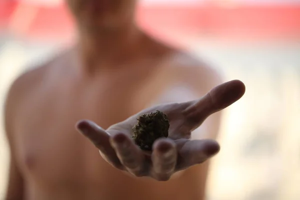 Maconha Medicinal Cannabis Seca Nas Mãos — Fotografia de Stock