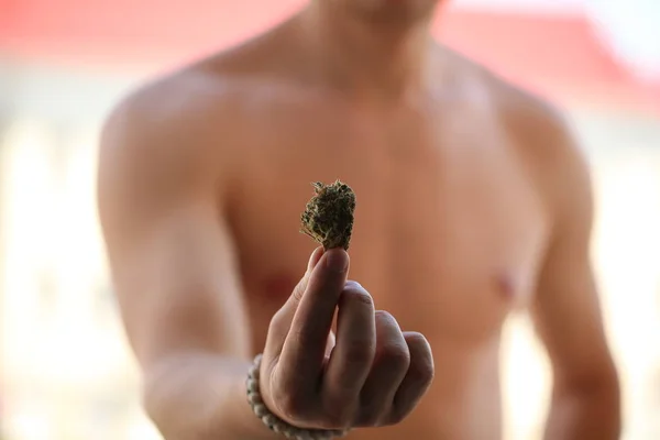 Dry Cannabis Medical Marijuana Hands — Stock Photo, Image