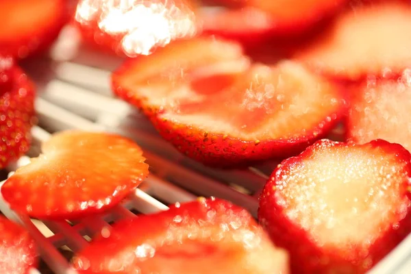 Morangos Fatiados Secador Frutas Rack Seco — Fotografia de Stock