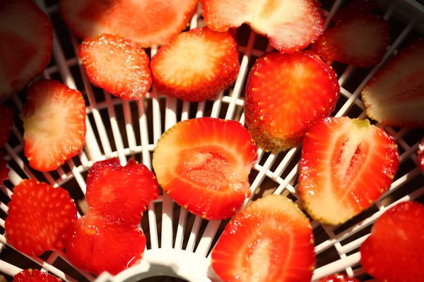 Morangos Fatiados Secador Frutas Rack Seco — Fotografia de Stock