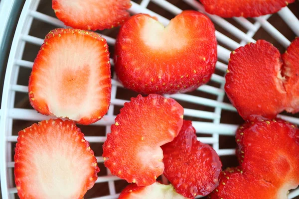 Sliced Strawberries Dry Rack Fruit Dryer — Stock Photo, Image