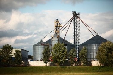 tane kurutucular tesisi karmaşık üretim