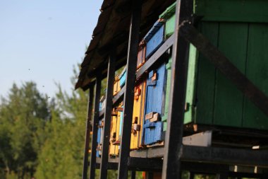 Çiçekli bir köy tarlasında arılar ile arı kovanları