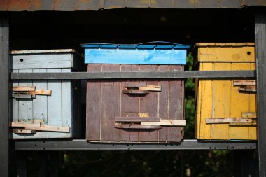 Çiçekli bir köy tarlasında arılar ile arı kovanları