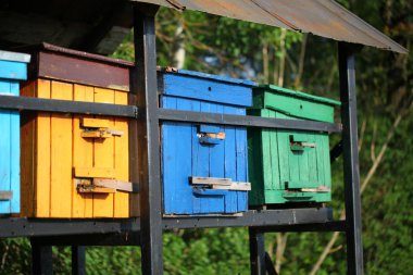 Çiçekli bir köy tarlasında arılar ile arı kovanları