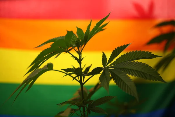 legal marijuana concept. Medical cannabis flag background