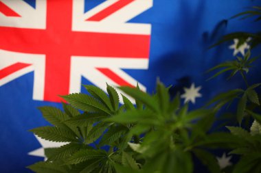 yasal marihuana kavramı. Tıbbi esrar bayrağı arka plan