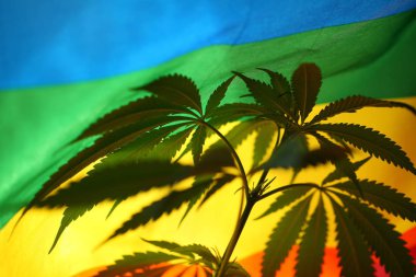 yasal marihuana kavramı. Tıbbi esrar bayrağı arka plan