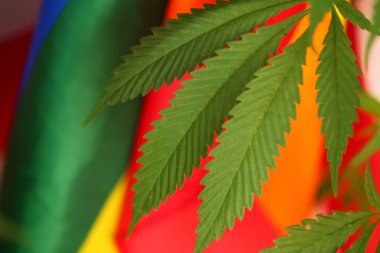 yasal marihuana kavramı. Tıbbi esrar bayrağı arka plan
