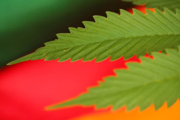 legal marijuana concept. Medical cannabis flag background