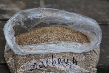 buğday taneli yemek kulakları yakın