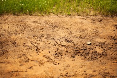 Çim bahçe parkı çim alan