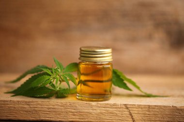 Tıbbi marihuana esrar cbd yağı