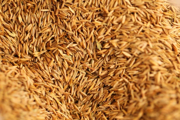 Uši Pšeničné Obilné Mouky Blízko — Stock fotografie