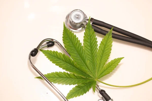 Orvosi Marihuána Cannabis Cbd Olaj — Stock Fotó