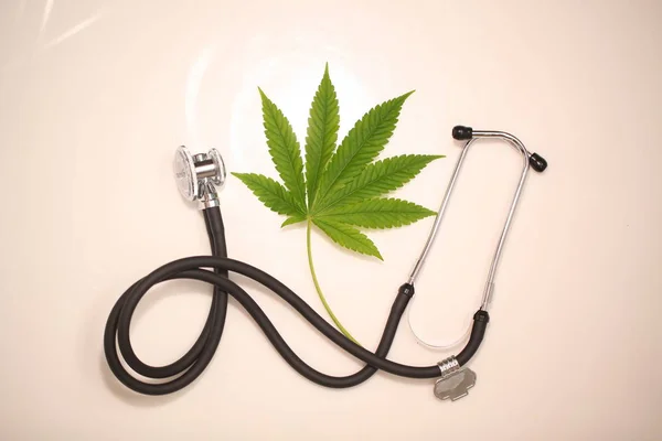 Medicinsk Marijuana Cannabis Cbd Olja — Stockfoto