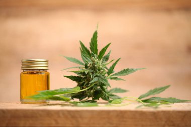 Tıbbi marihuana esrar cbd yağı