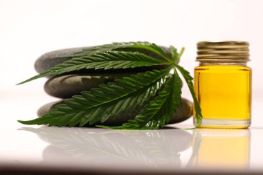 Tıbbi marihuana esrar cbd yağı