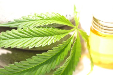 Tıbbi marihuana esrar cbd yağı