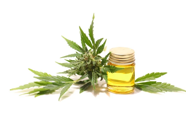 Marihuana Medicinal Aceite Cbd — Foto de Stock