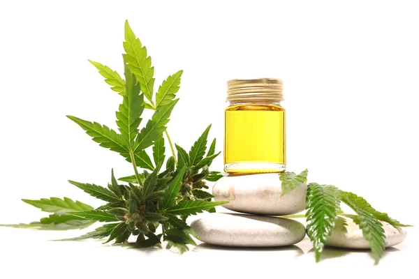 Marihuana Medicinal Aceite Cbd — Foto de Stock