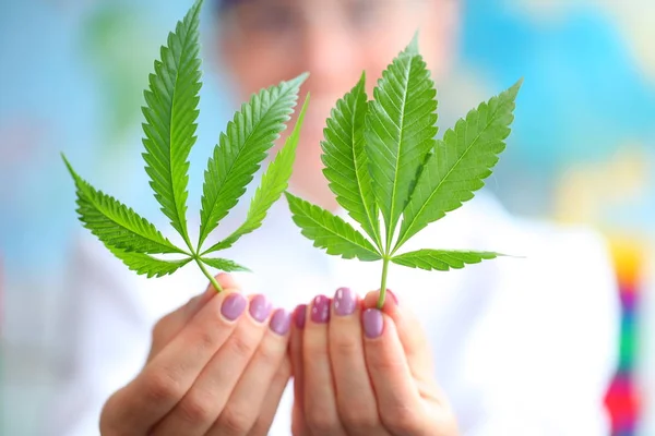 Kannabiszt Betöltő Orvos Közelről — Stock Fotó