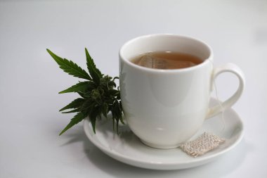 Kenevir çayı. tıbbi esrar yaprağı