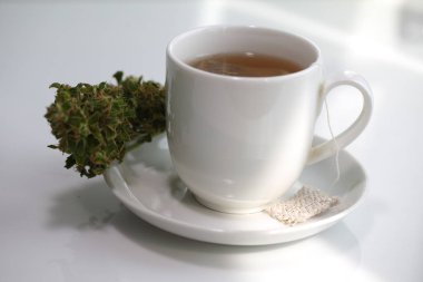 Kenevir çayı. tıbbi esrar yaprağı