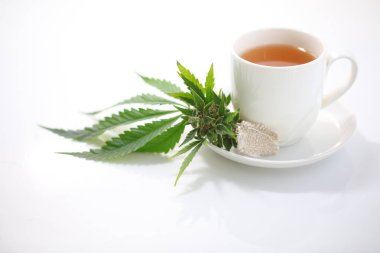Kenevir çayı. tıbbi esrar yaprağı