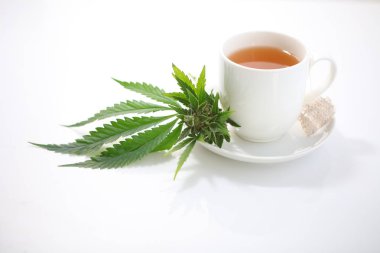 Kenevir çayı. tıbbi esrar yaprağı